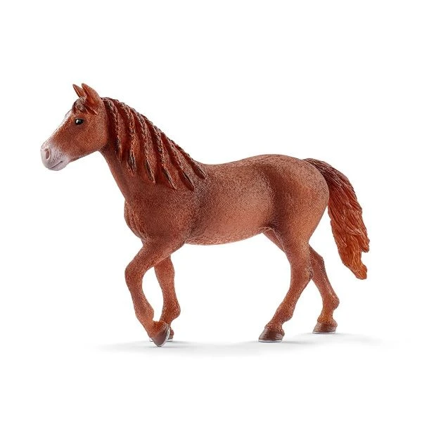SCHLEICH 13870 - Horse Club - Morgan Horse Stute