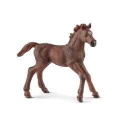 SCHLEICH 13857 - Horse Club - Englisch Vollblut Fohlen