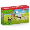 SCHLEICH 42386 - Farm World - Farm World Tier-Mix